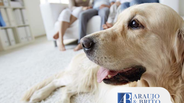 Tenho um animal de estimação: o que o condomínio pode proibir?